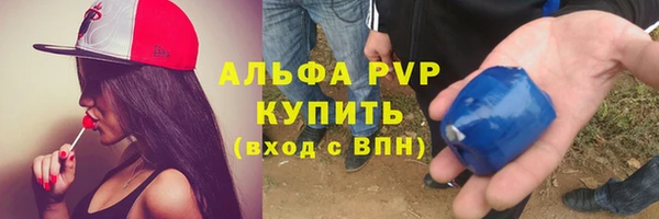ПСИЛОЦИБИНОВЫЕ ГРИБЫ Гусев