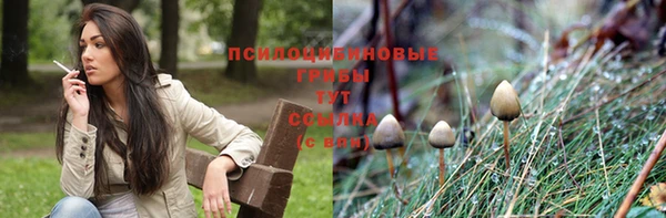 прущий лед Алексеевка